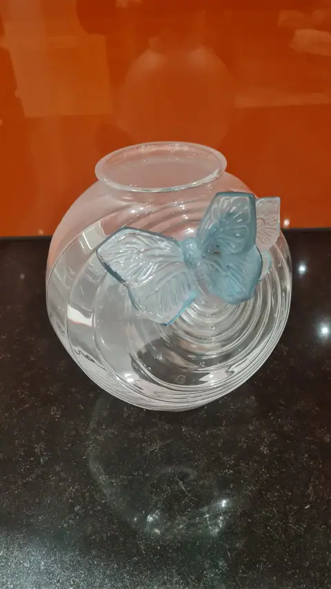 Vase papillon et ondes