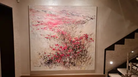 Champs de coquelicots